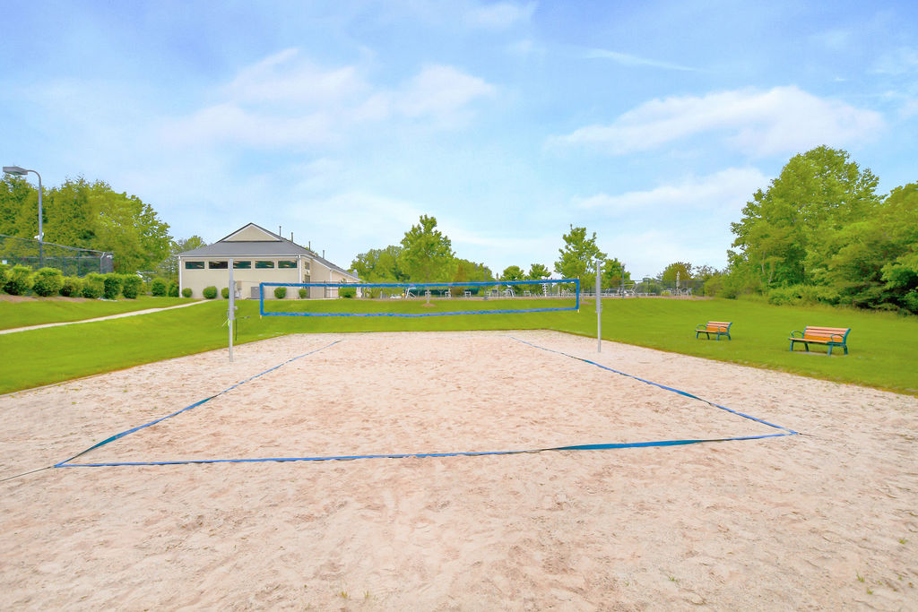 Volleyball Court