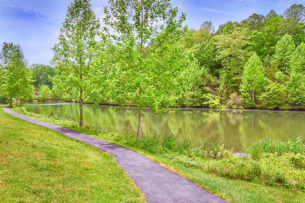 gallery lake